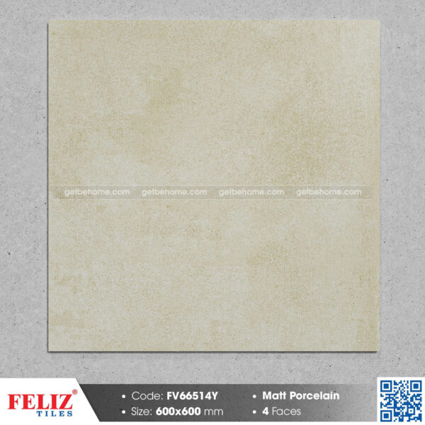 Gạch ốp lát (60x60) FV66514