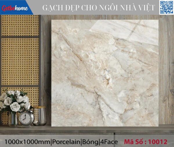Gạch ốp lát (100x100) 10012
