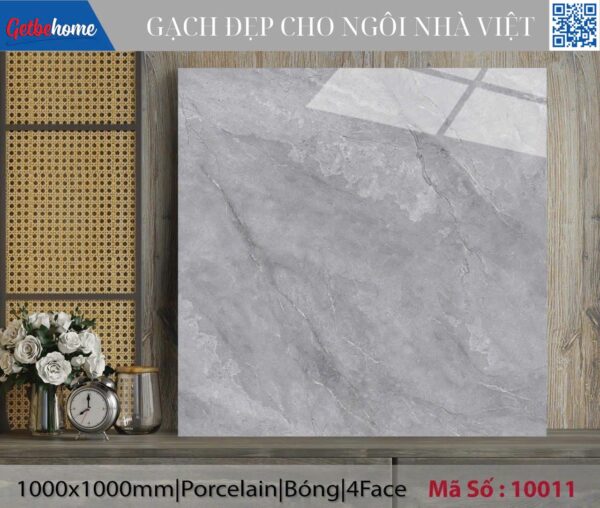 Gạch ốp lát (100x100) 10011