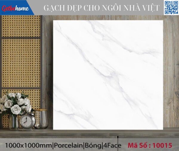 Gạch ốp lát (100x100) 10015