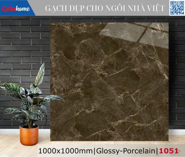 Gạch ốp lát (100x100) 1051