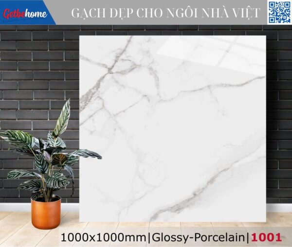 Gạch ốp lát (100x100) 1001