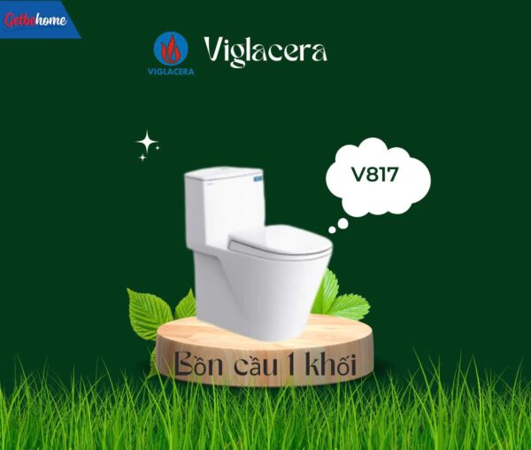 Bồn cầu 1 khối Viglacera V817