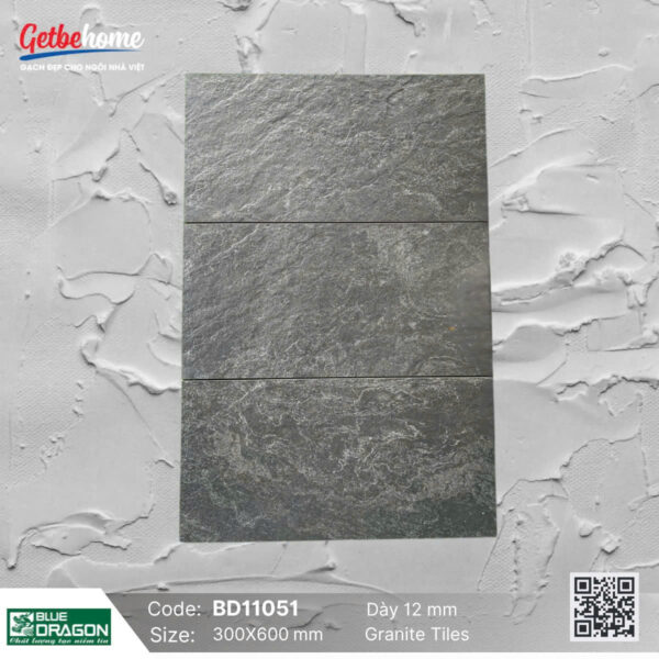 Gạch sân vườn (30x60) BD11051