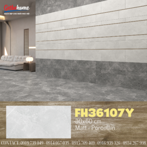 Gạch ốp tường 30x60 Feliz FH36107Y