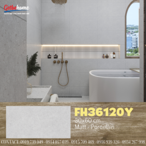 Gạch ốp tường 30x60 Feliz FH36120Y