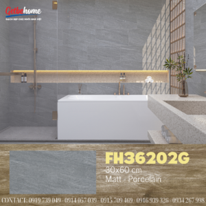 Gạch ốp tường 30x60 Feliz FH36202G