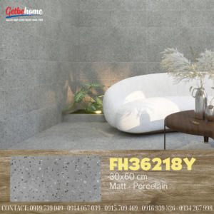 Gạch ốp tường 30x60 Feliz FH36218Y