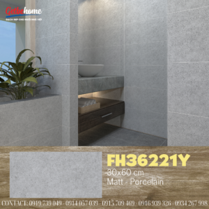 Gạch ốp tường 30x60 Feliz FH36221Y