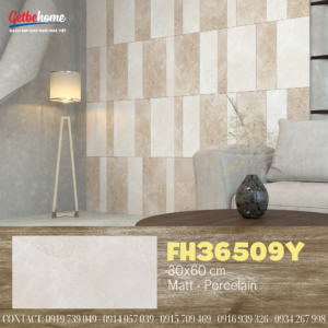 Gạch ốp tường 30x60 Feliz FH36509Y