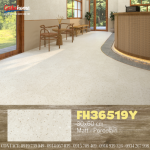 Gạch ốp tường 30x60 Feliz FH36519Y