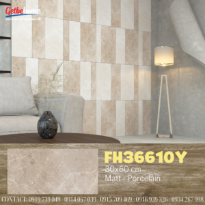 Gạch ốp tường 30x60 Feliz FH36610Y