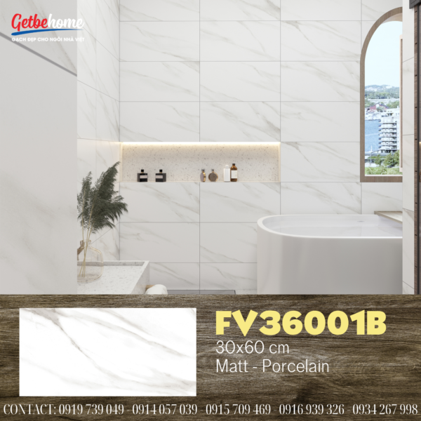 Gạch ốp tường 30x60 Feliz FV36001B