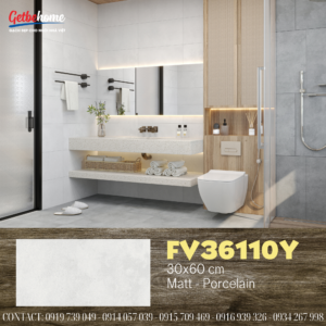 Gạch ốp tường 30x60 Feliz FV36110Y