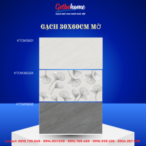 Gạch ốp tường Viglacera 30x60 KTCM3601 - KTCM3602A - KTCM3602