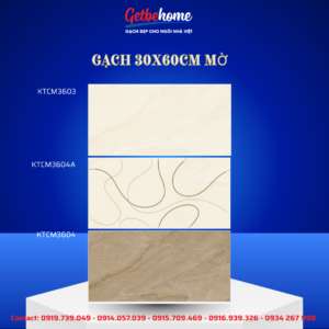 Gạch ốp tường Viglacera 30x60 KTCM3603 - KTCM3604A - KTCM3604